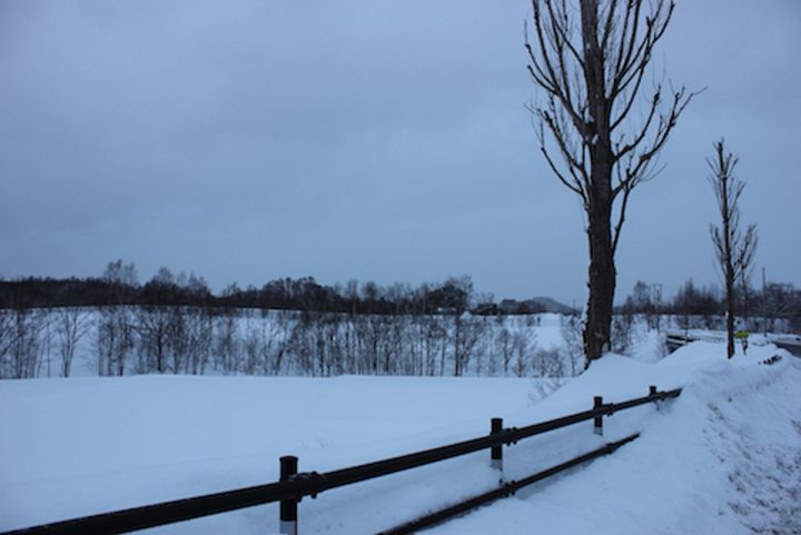 雪深い地域で、白く染まった景観は思わず息をのむ。